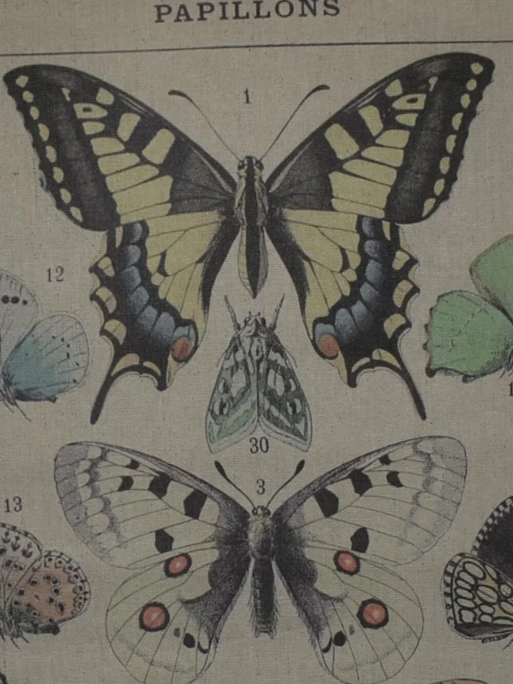 Butterfly Moth Large Linen Canvas Scroll Tapestry Boho Cottagecore Wall Decor
